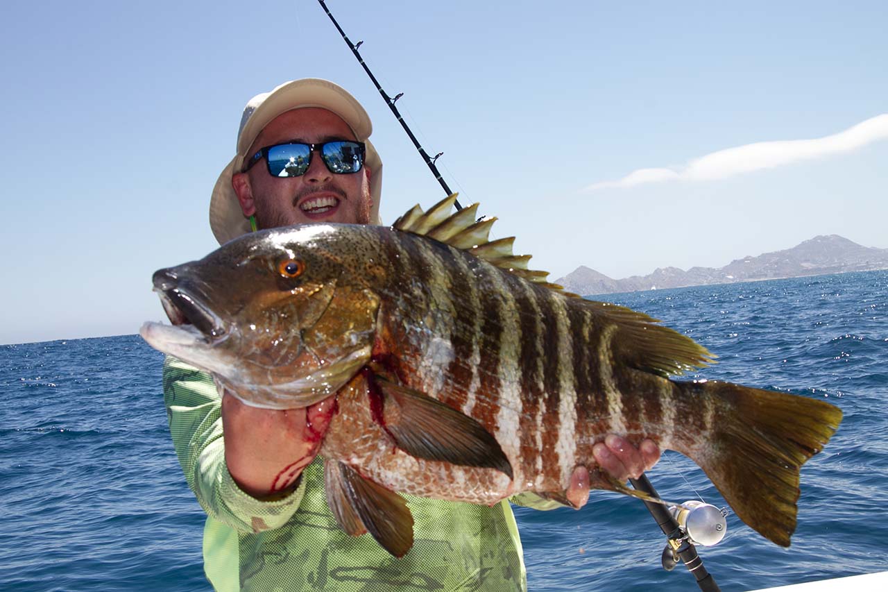 Cabo Fishing Seasons Month by Month