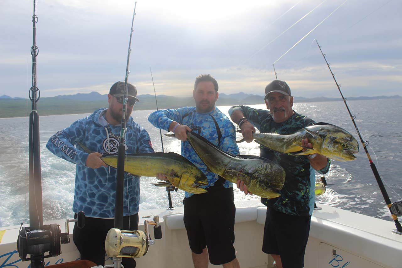 Cabo Fishing Seasons Explained