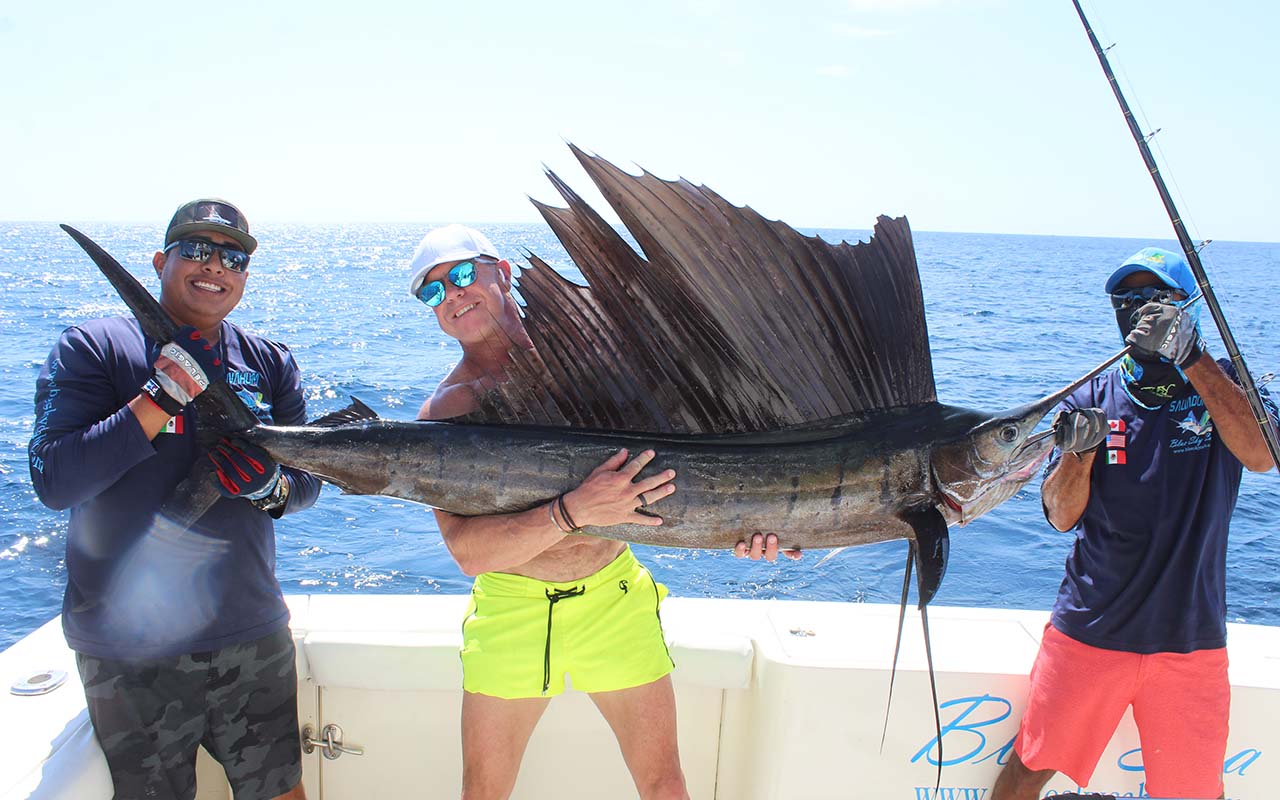 Cabo Sailfish Fishing August
