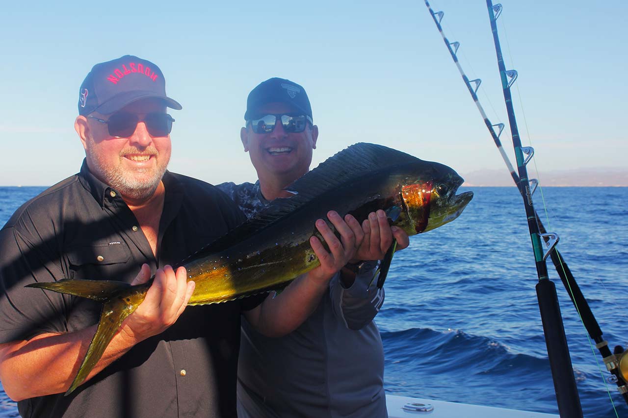 Cabo San Lucas Offshore Fishing Seasons