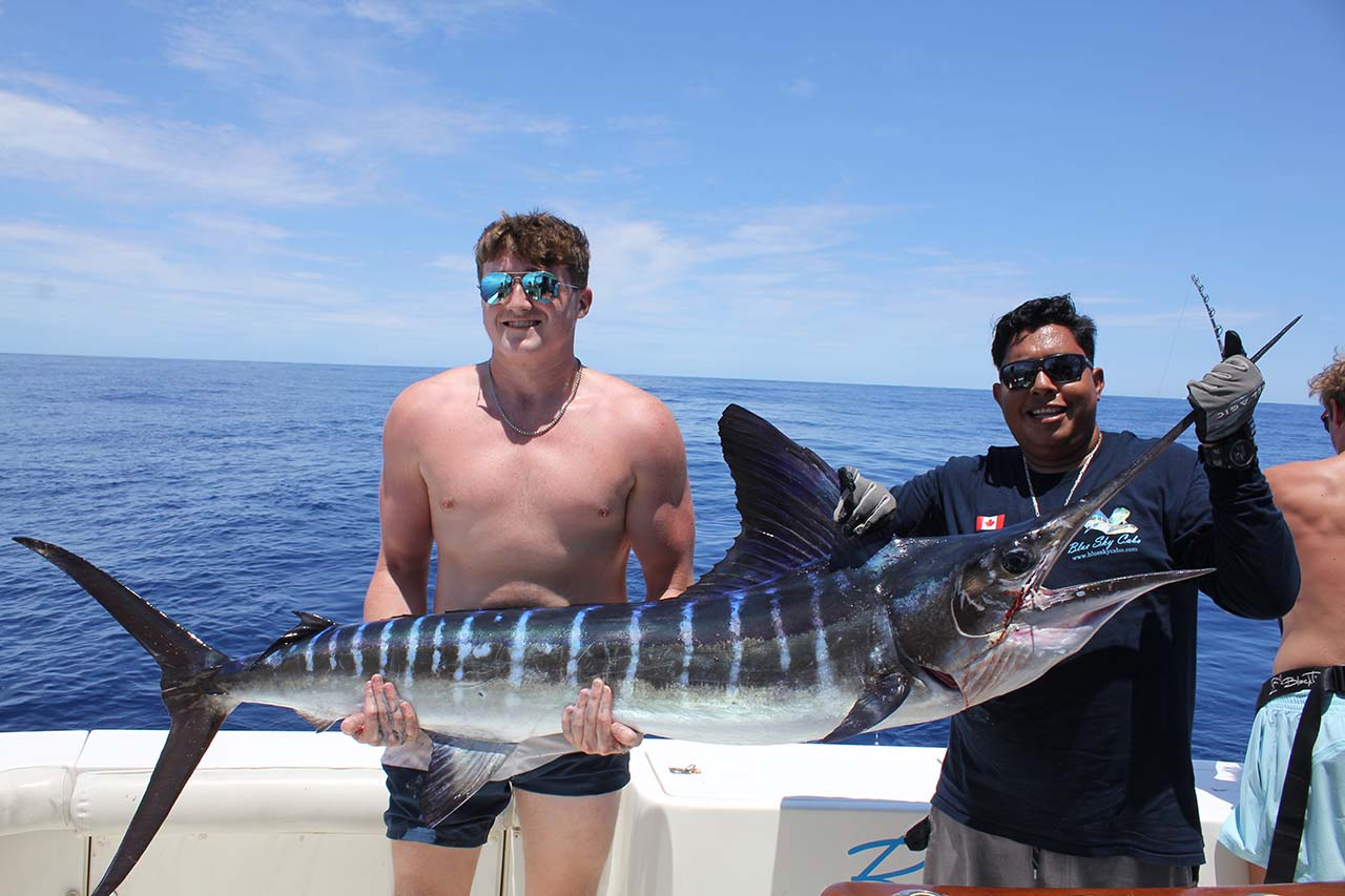 Cabo Striped Marlin August