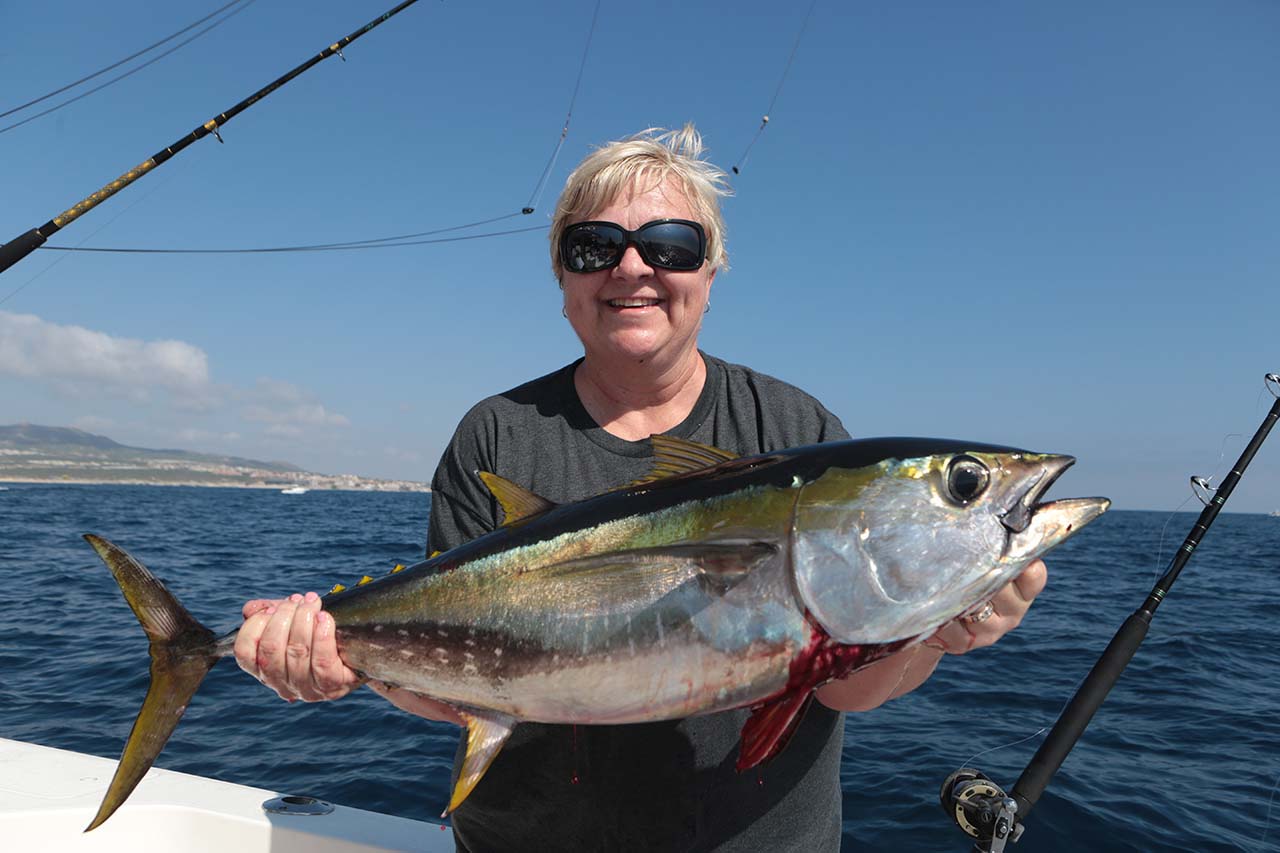 Cabo Yellowfin Tuna Fishing August