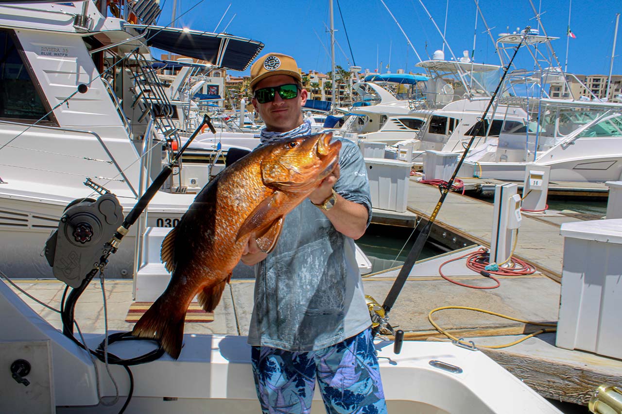 Fishing Calendar Season for Cabo San Lucas Mexico