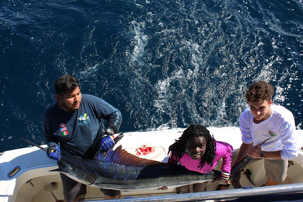 Striped Marlin Season Cabo San Lucas