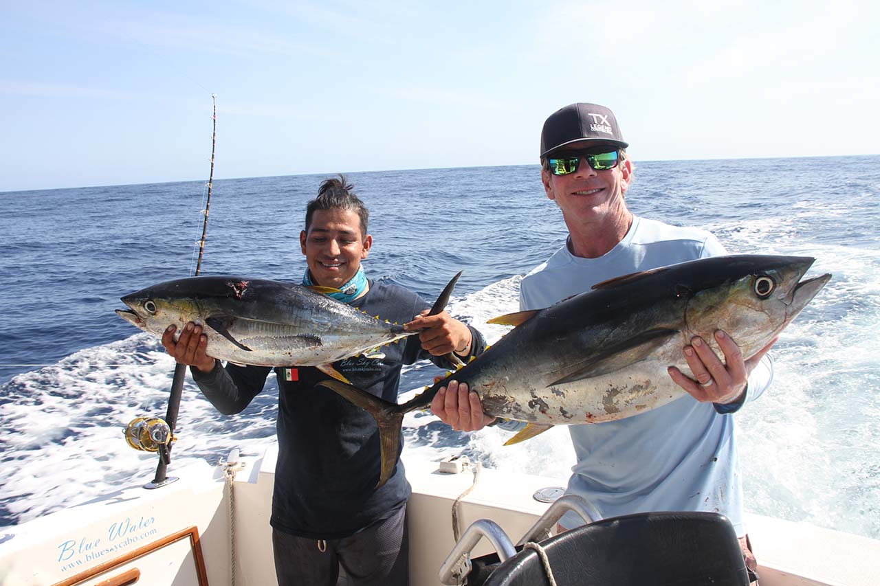 What Is the Best Bait to Catch Tuna in Cabo