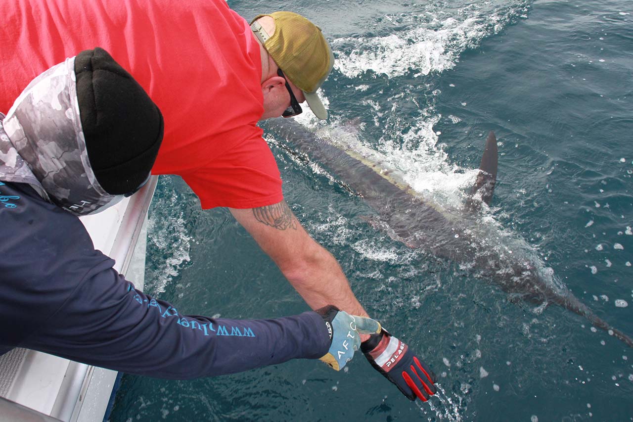 What Is the Best Time to Fish in Cabo