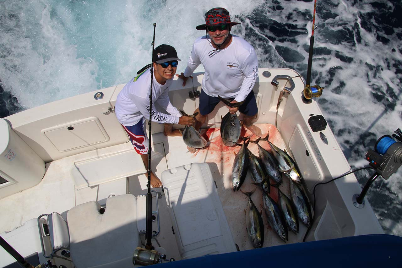 Yellow Fin Tuna Season Cabo
