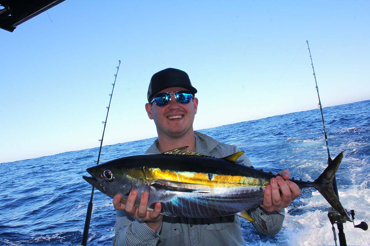 Yellow Fin Tuna Season Cabo