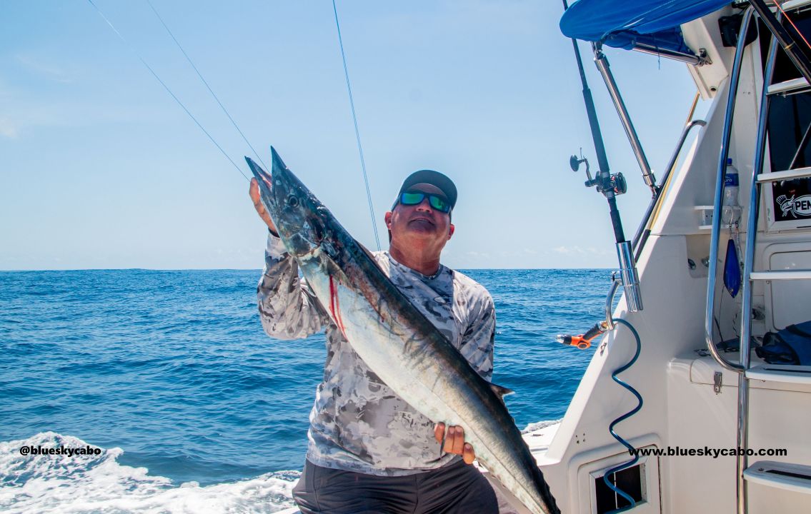 Cabo San Lucas Fishing Report