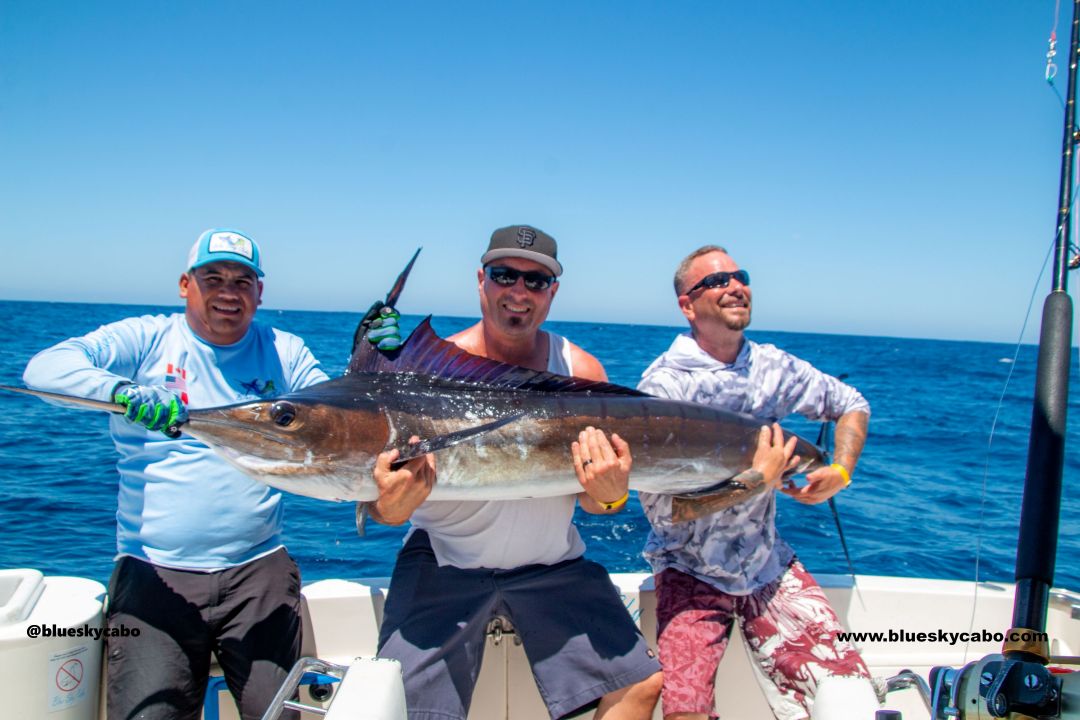 Cabo San Lucas Fishing Report