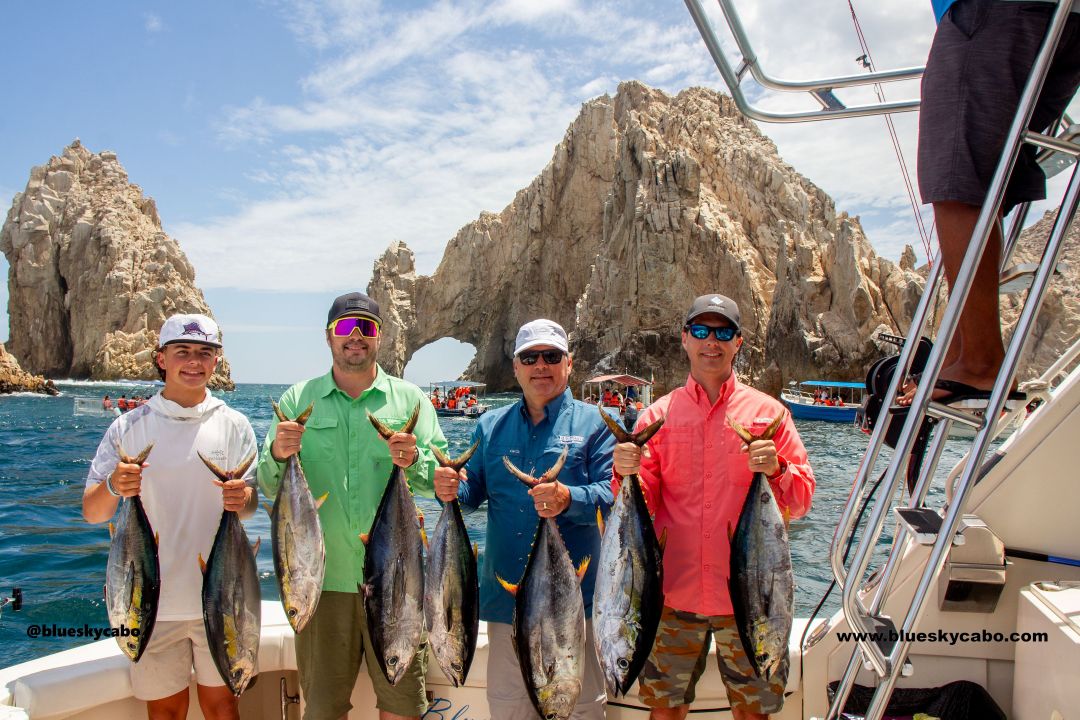 Cabo San Lucas Fishing Report