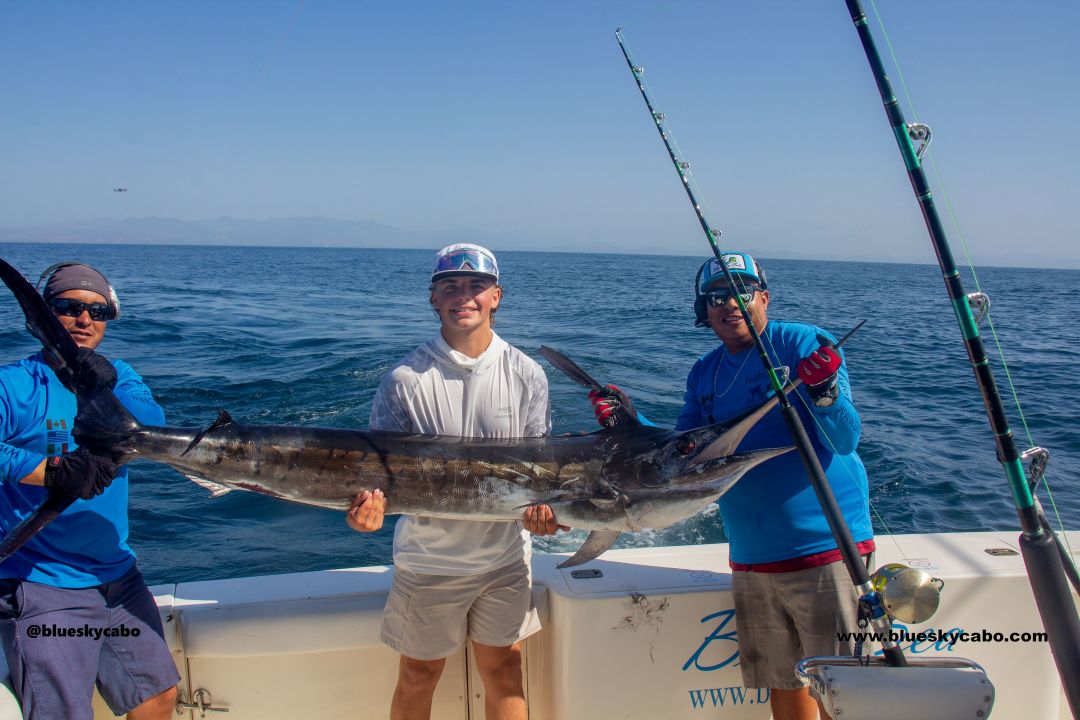 Cabo San Lucas Fishing Report