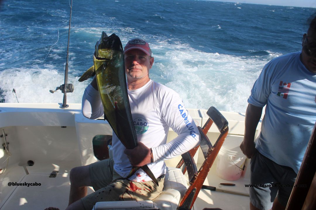 Cabo San Lucas Fishing Report