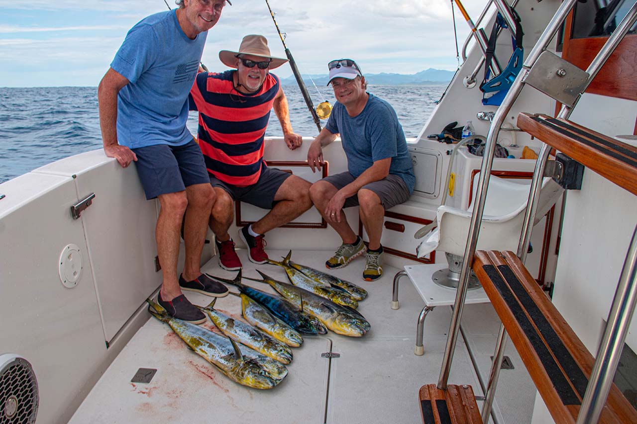Bait Types for Cabo Fishing