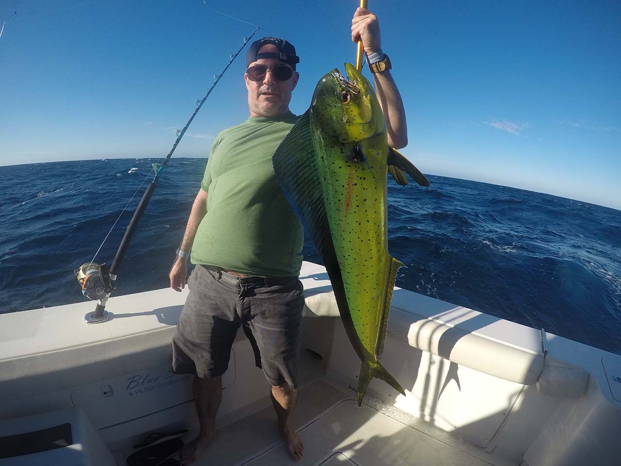 Cabo Dorado (Mahi Mahi) Peak Season September