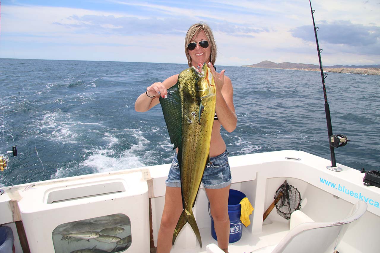 Cabo Fishing Calendar September