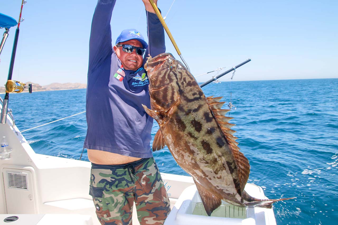 Cabo Live Bait Fishing