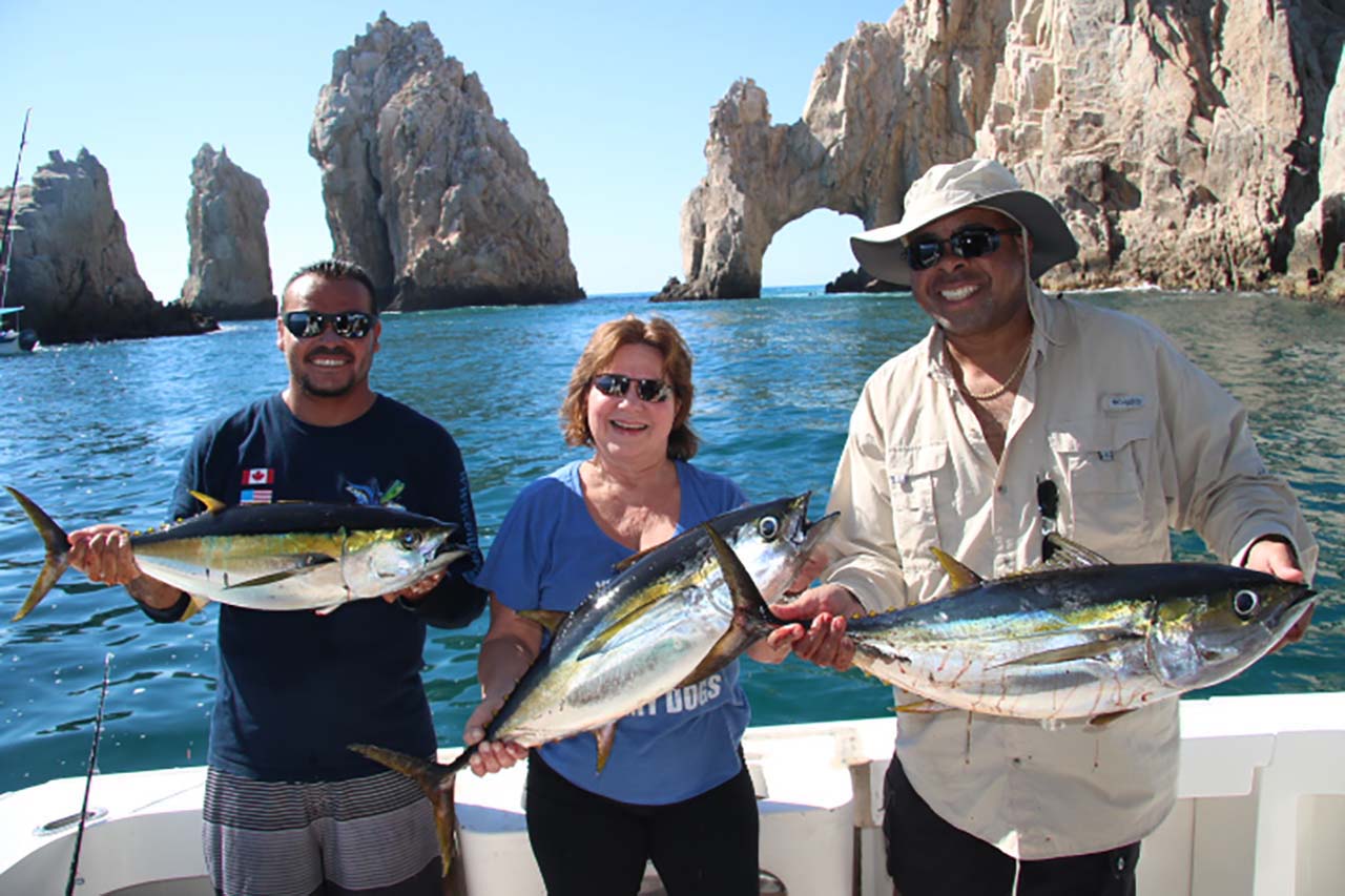 Cabo San Lucas Sport Fishing Season Guide