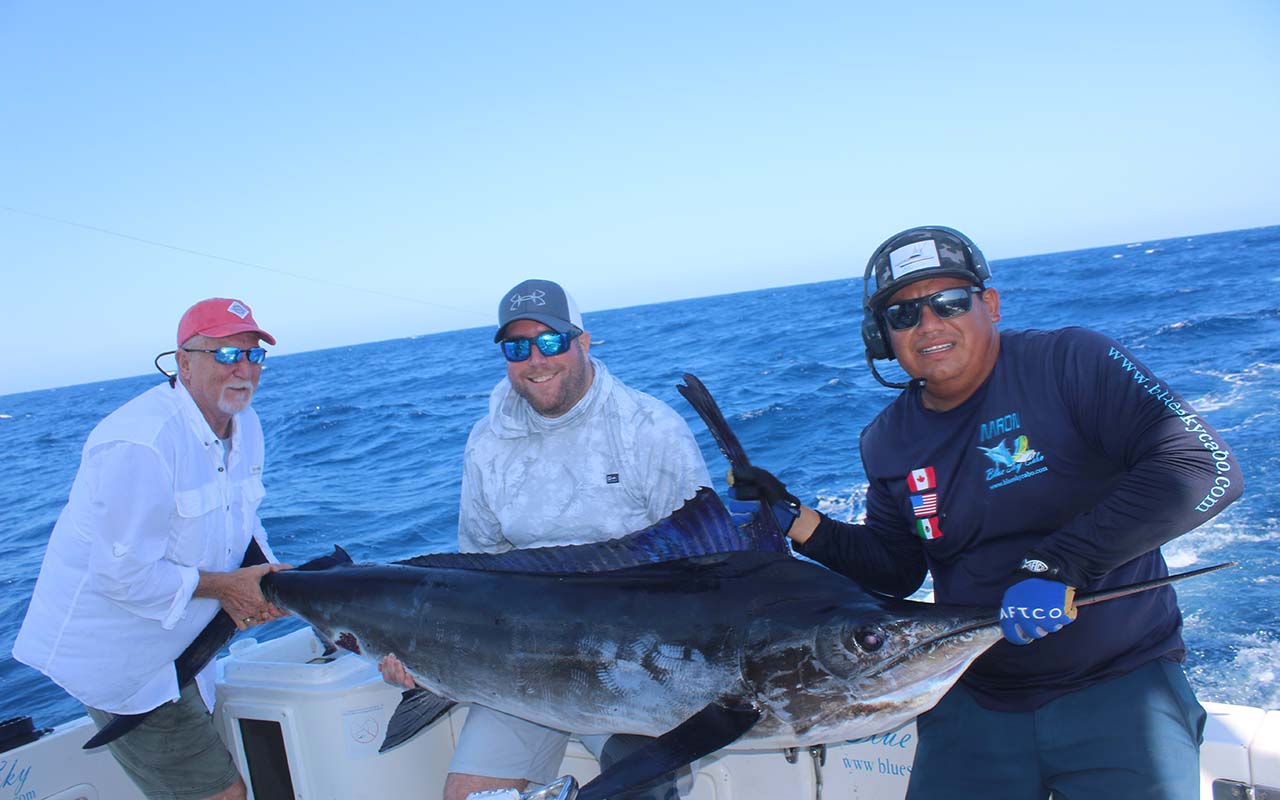 Cabo San Lucas Sport Fishing Season Guide