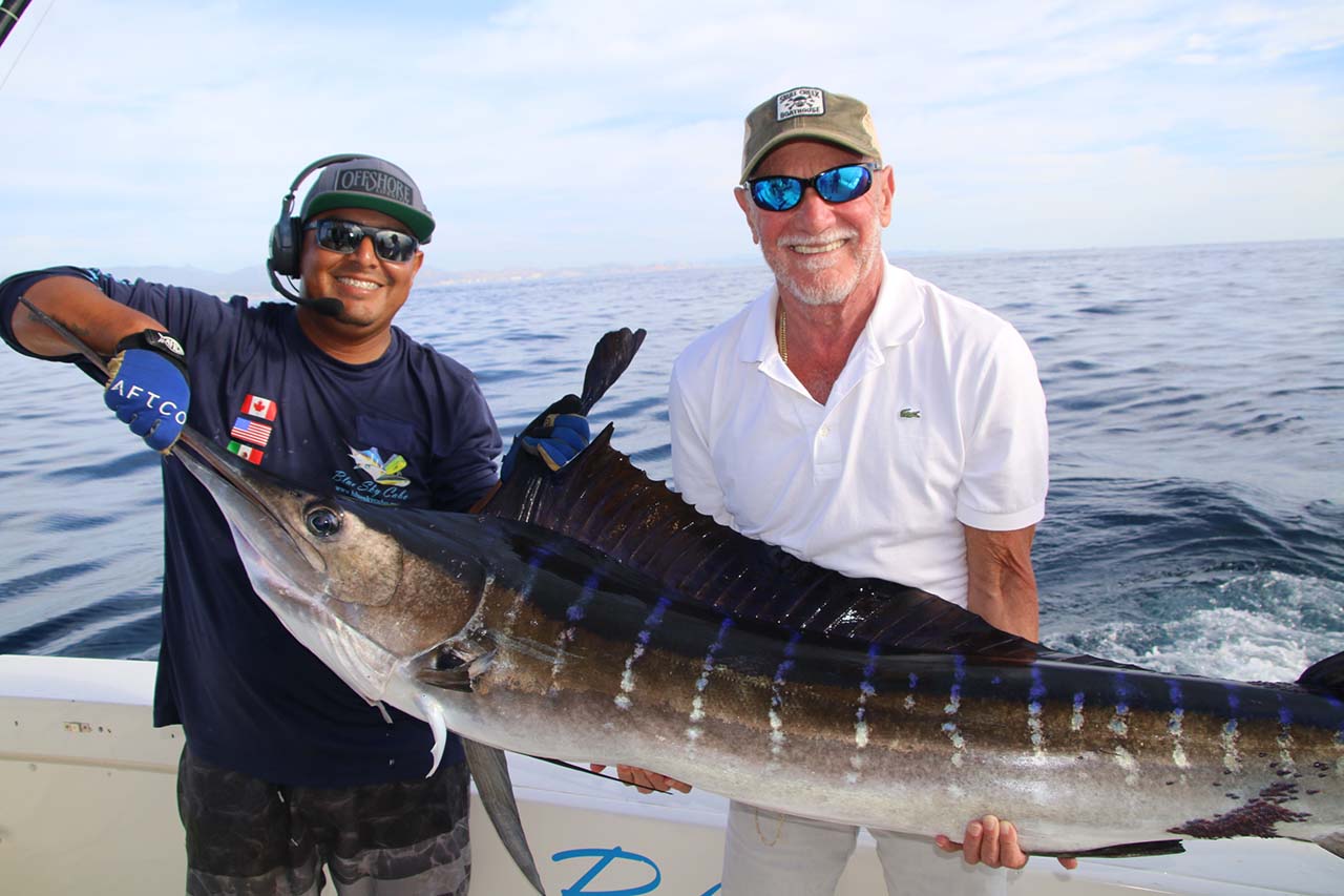 Cabo Striped Marlin September