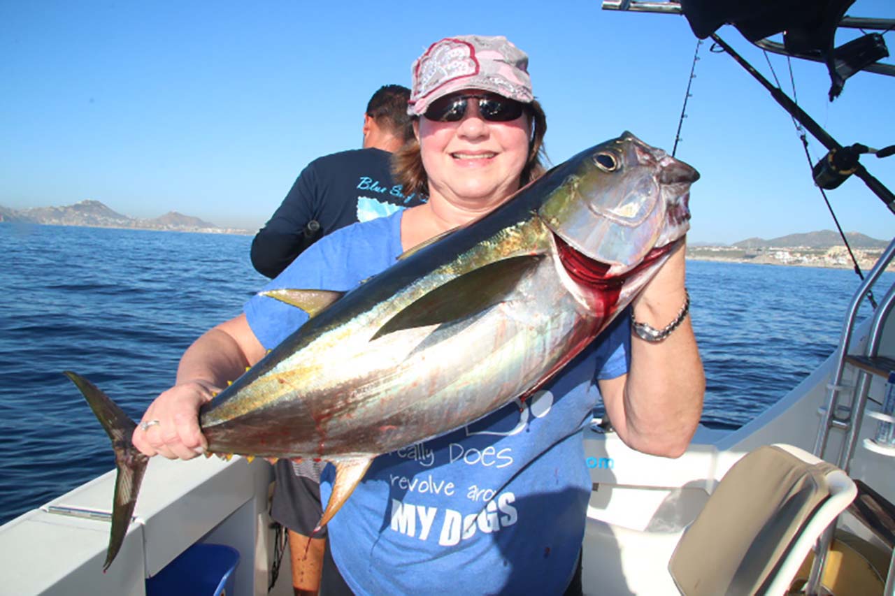 Cabo Yellowfin Tuna September