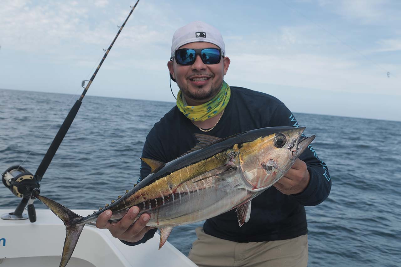 Cabo Yellowfin Tuna September