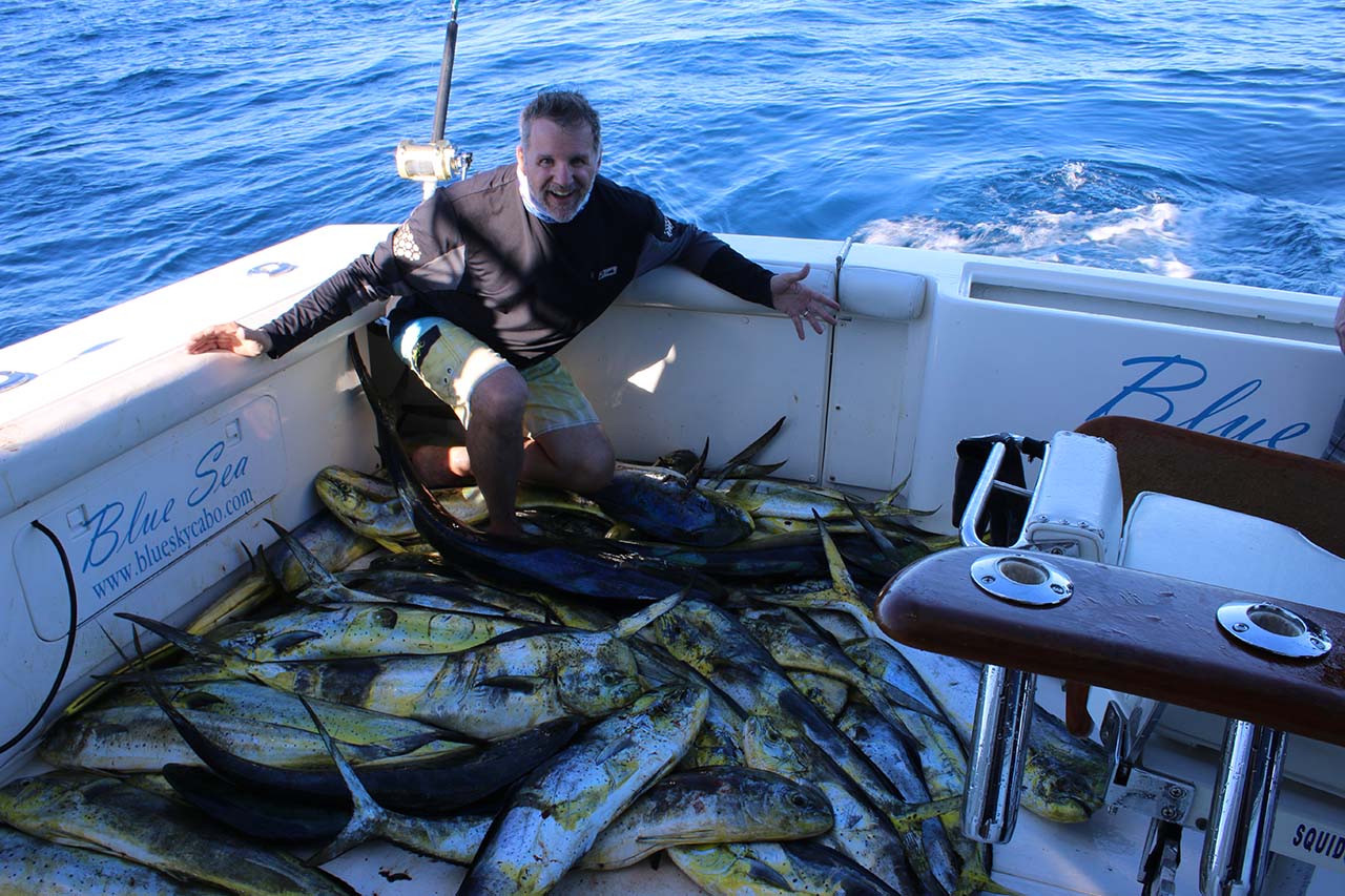 September Cabo Fishing Report