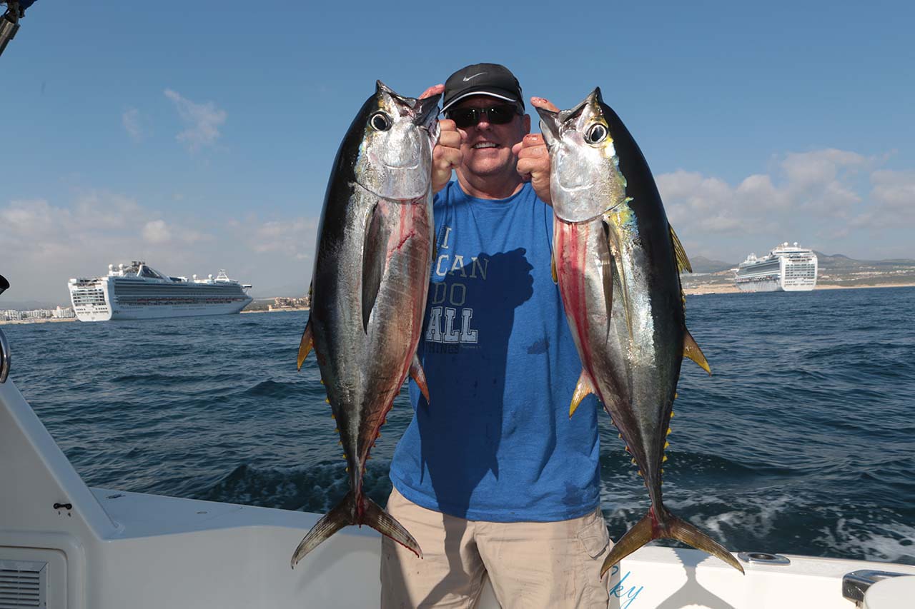 Tuna Fishing September in Cabo