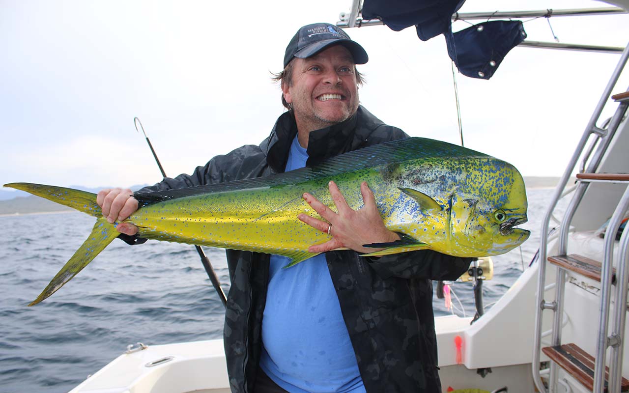 What Fish Are Biting Right Now in Los Cabos