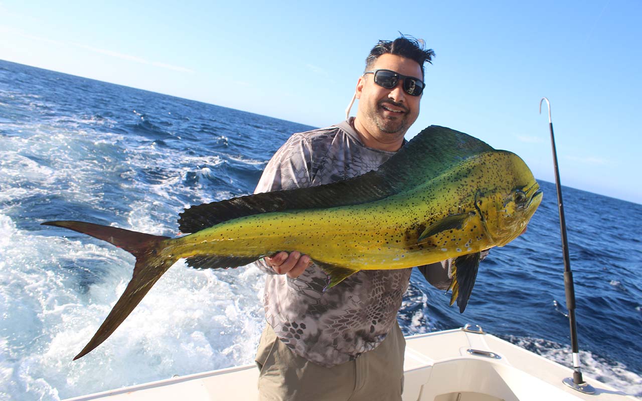What Fish Are Biting in Cabo Right Now
