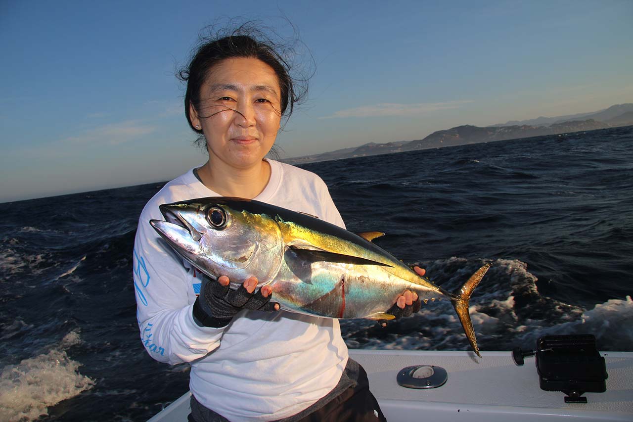 When to Catch Tuna in Cabo San Lucas