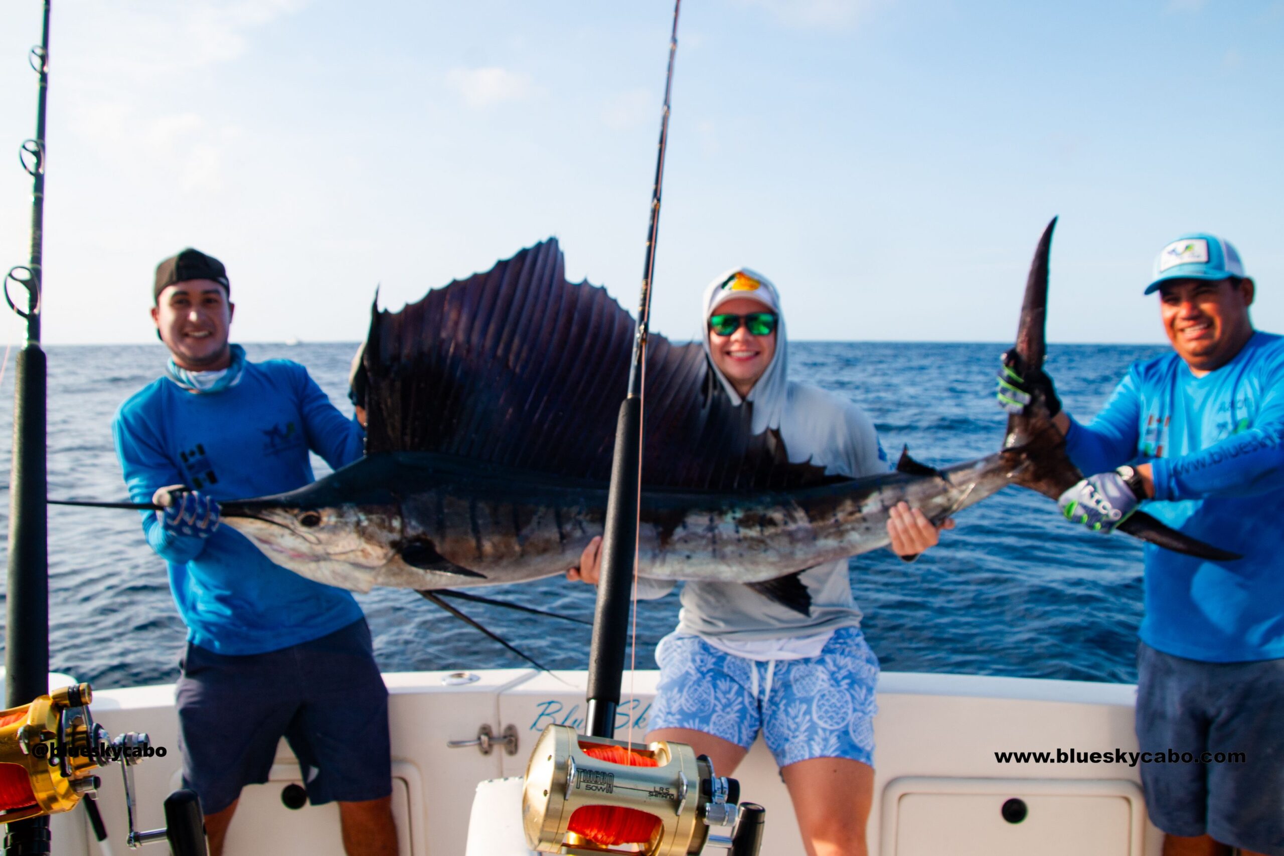Cabo San Lucas Fishing Report