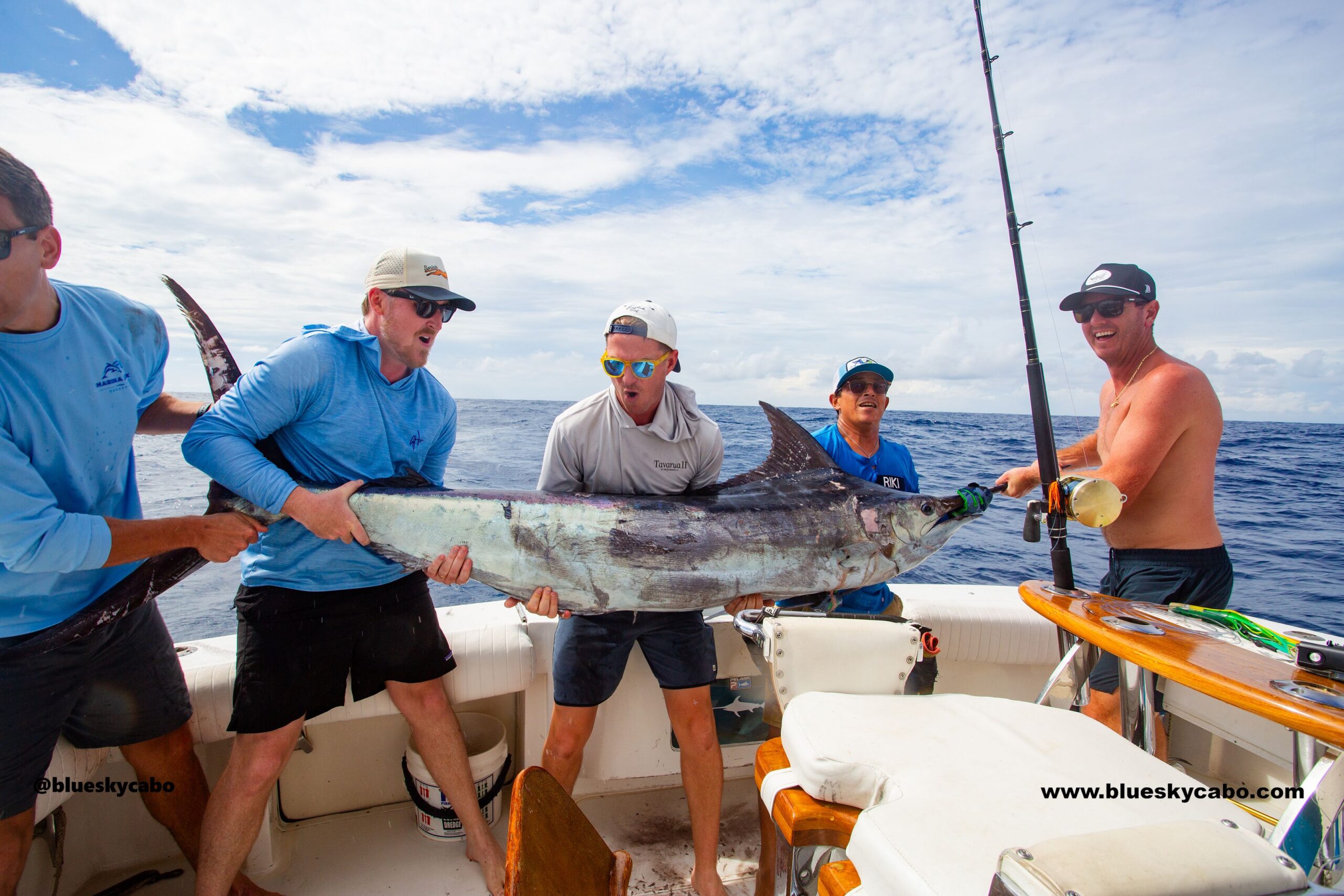 Cabo San Lucas Fishing Report