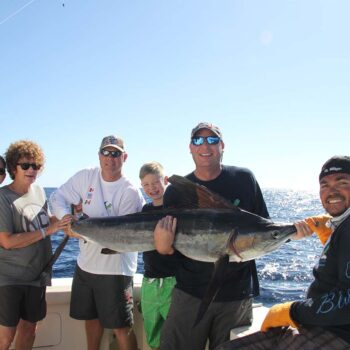Cabo Fishing Excursions From the Marina