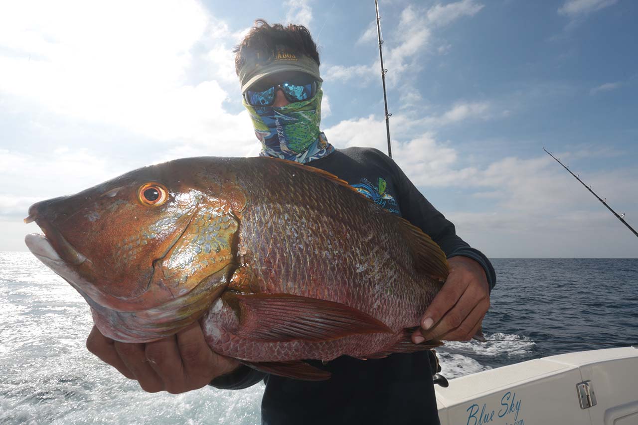 Fishing Conditions in Los Cabos in September
