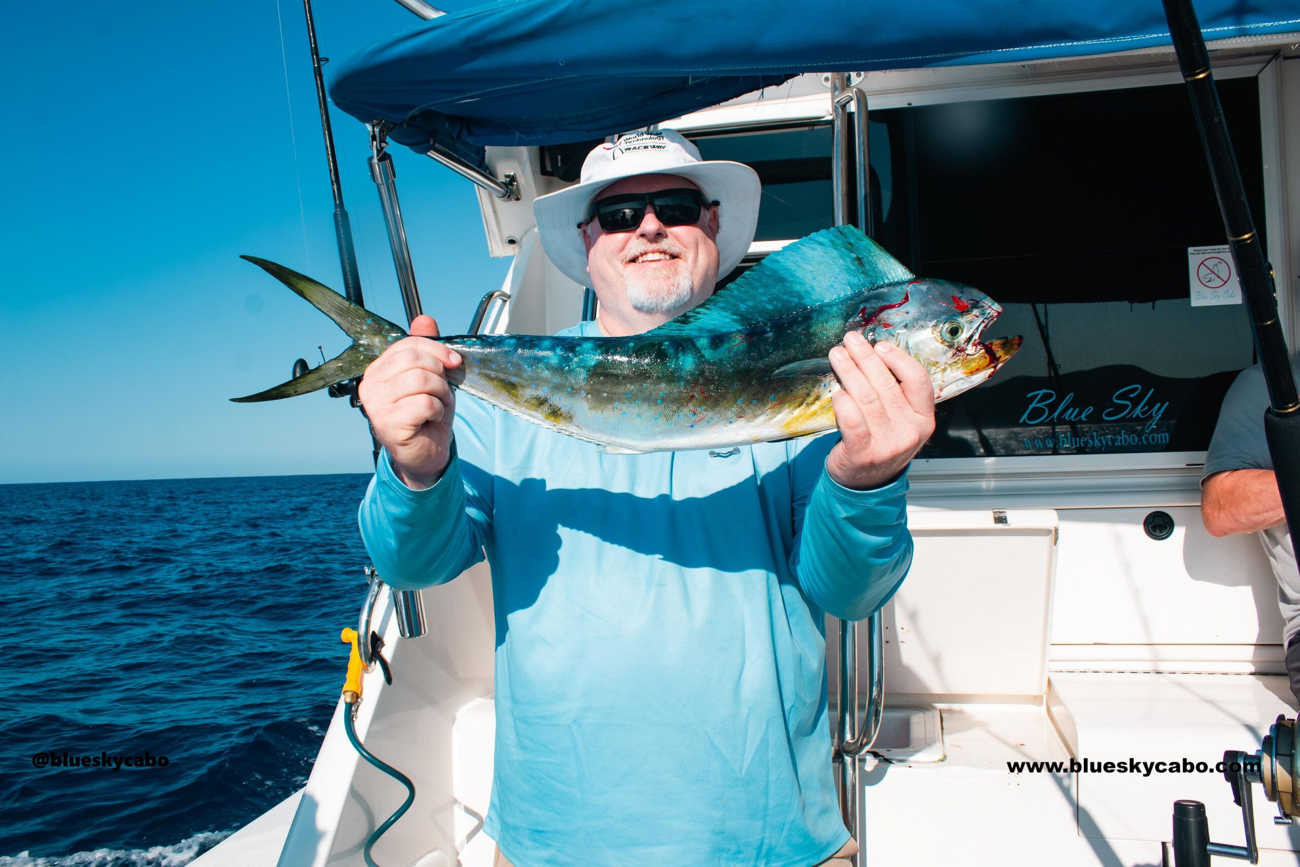Cabo San Lucas Fishing Report