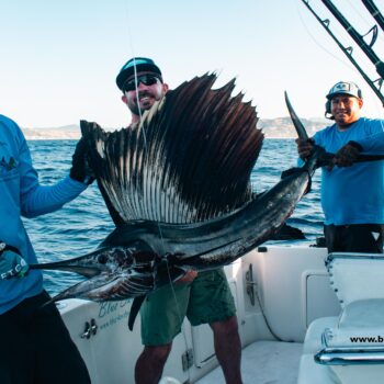 Cabo San Lucas Fishing Report
