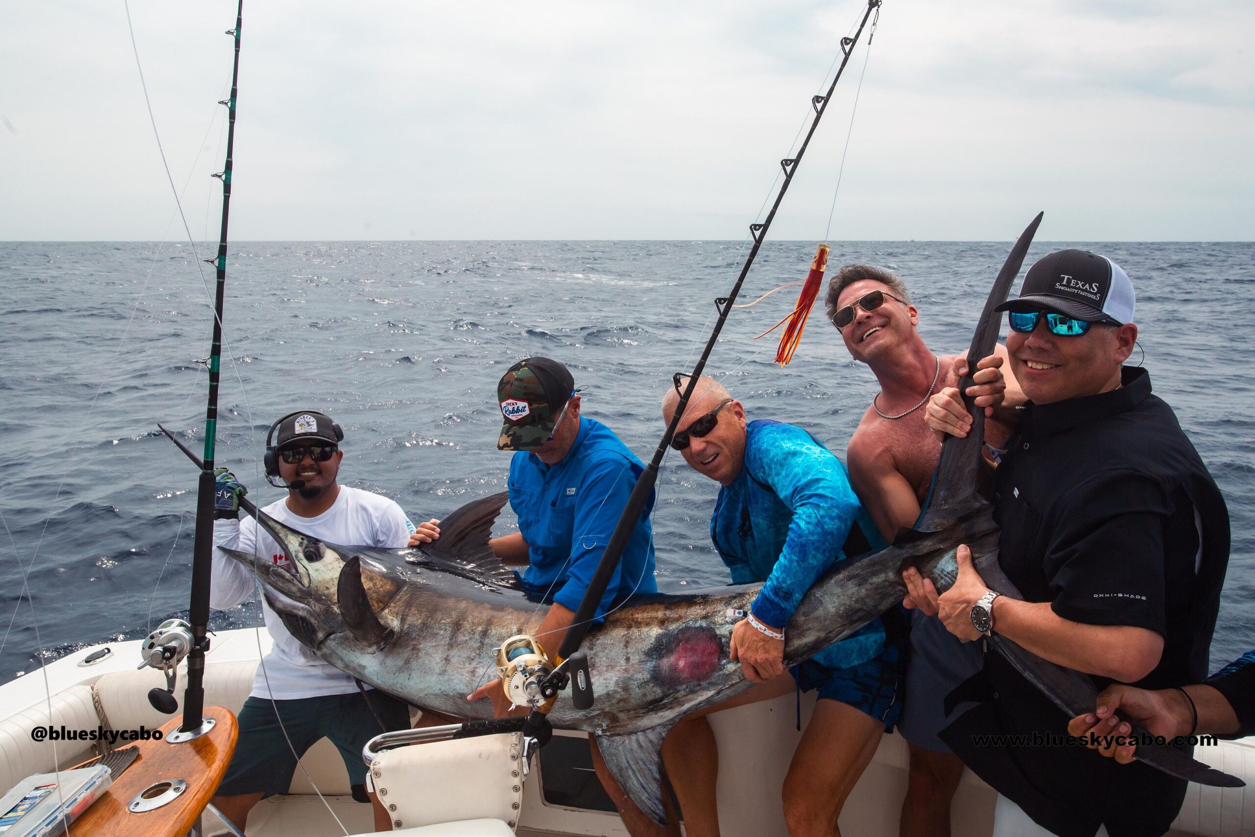 Cabo San Lucas Fishing Report