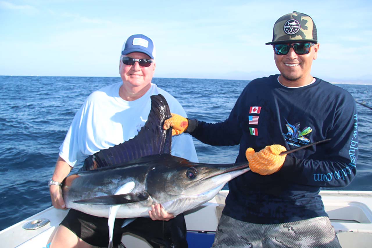 Blue Marlin Fishing Los Cabos