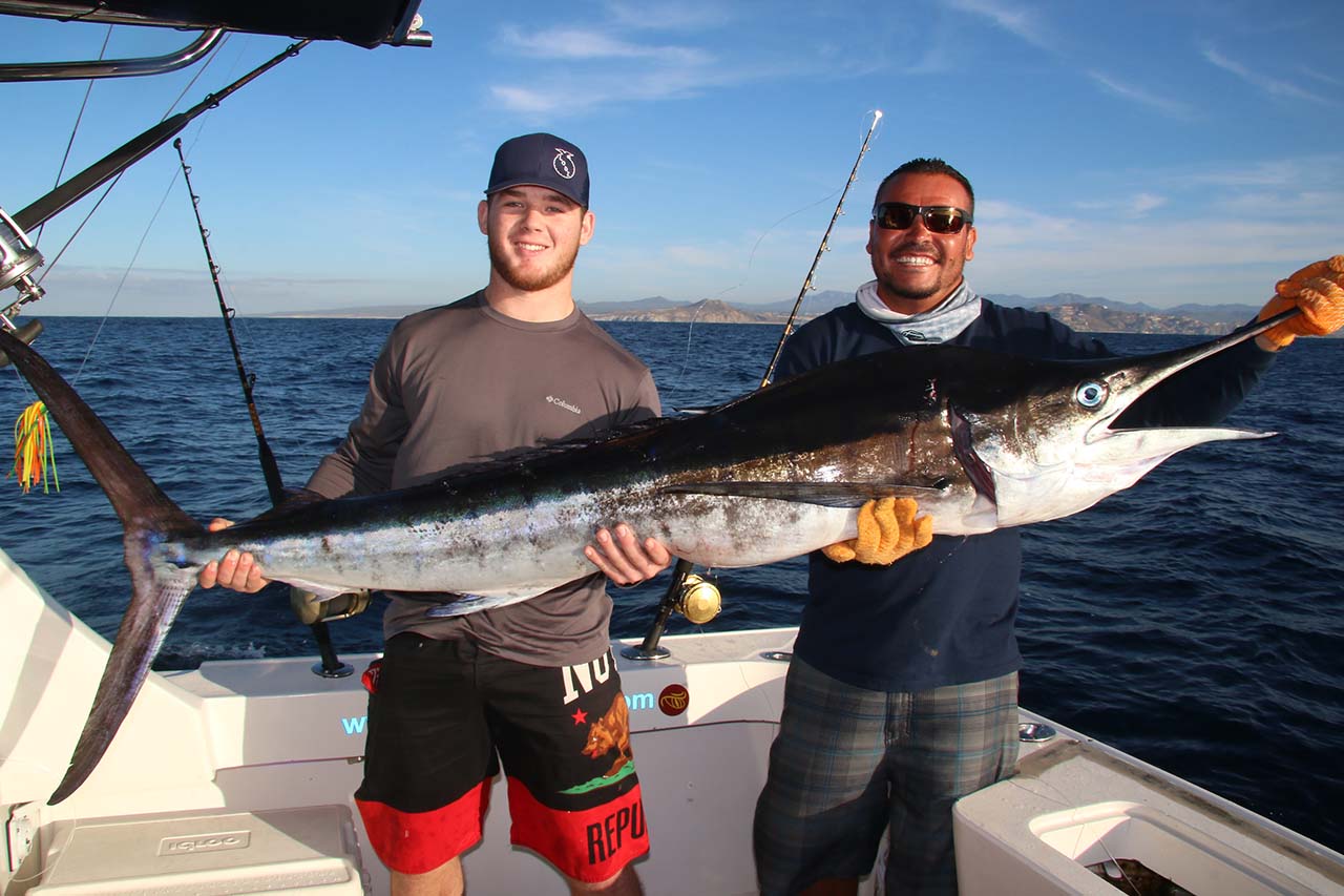 Catch Marlin in Los Cabos