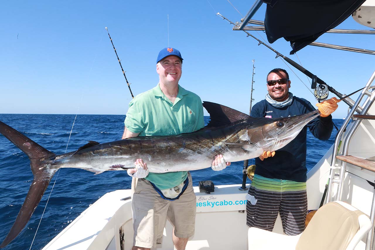 Catch Marlin in Los Cabos