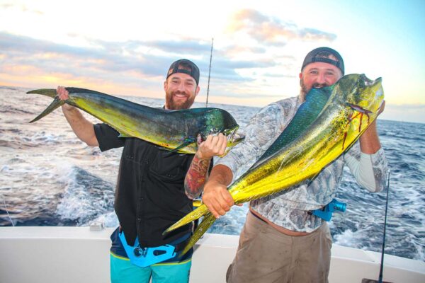Dorado Fishing Los Cabos