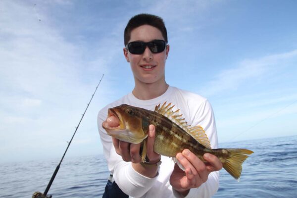 Fishing Conditions In Los Cabos In January