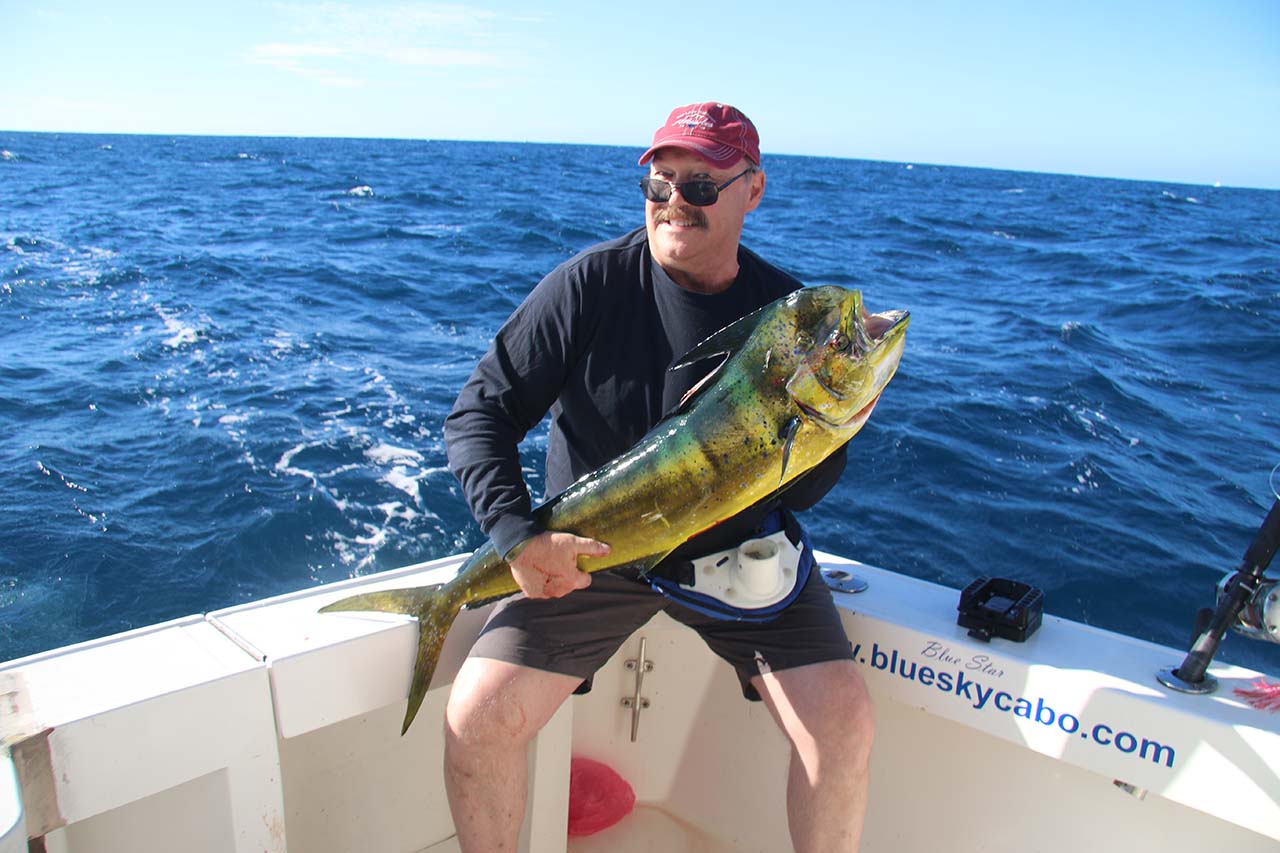Fishing Conditions In Los Cabos In November