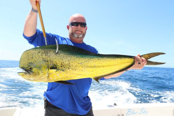 Live Bait Fishing Cabo