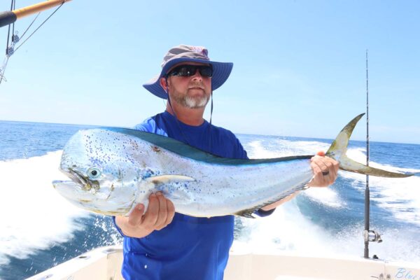 Los Cabos Fishing Reports Today