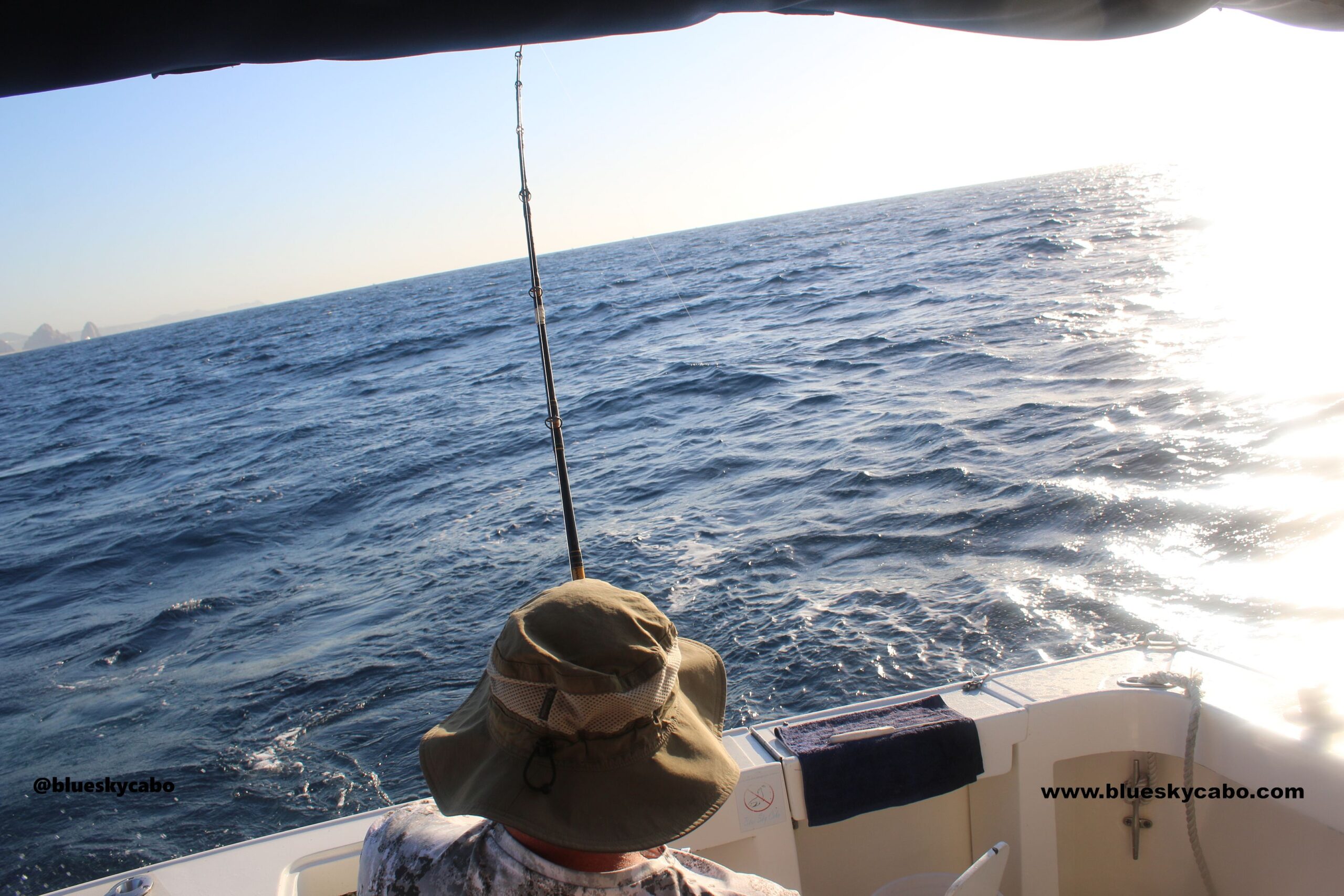 Los Cabos Fishing Season