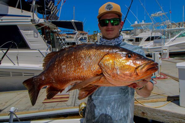 Peak Fishing Months In Cabo