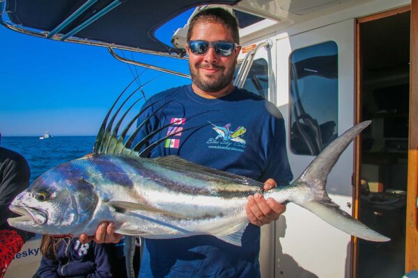 Rooster Fishing Los Cabos
