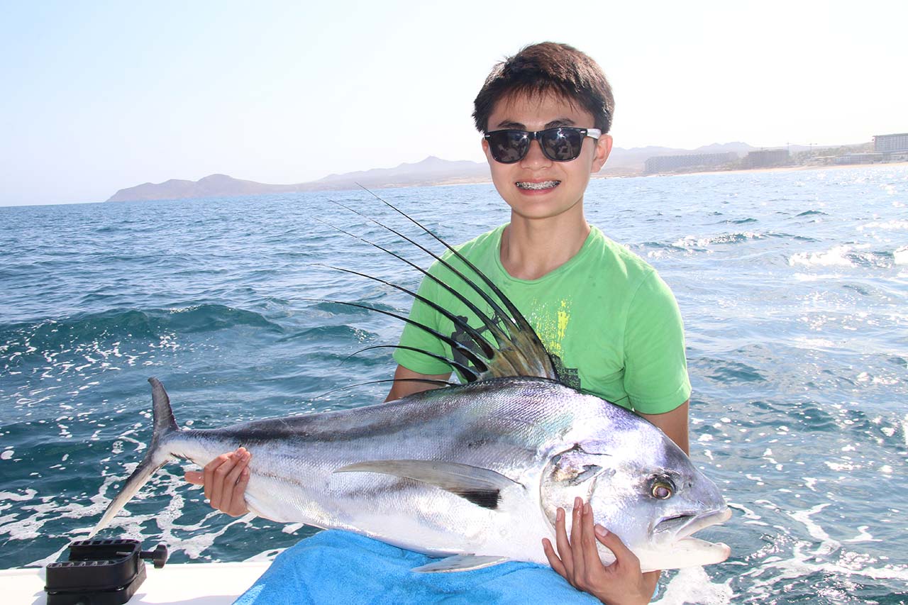 Rooster Fishing Los Cabos